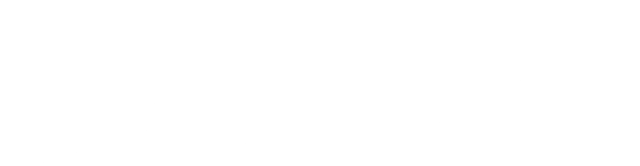 Morelife logo